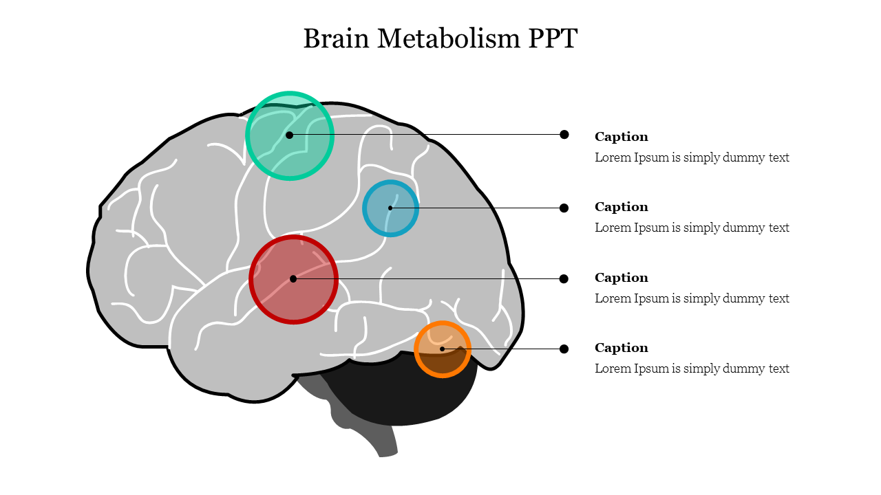 Brain Metabolism PPT